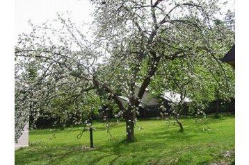 Vikendica Smižanská Maša 3